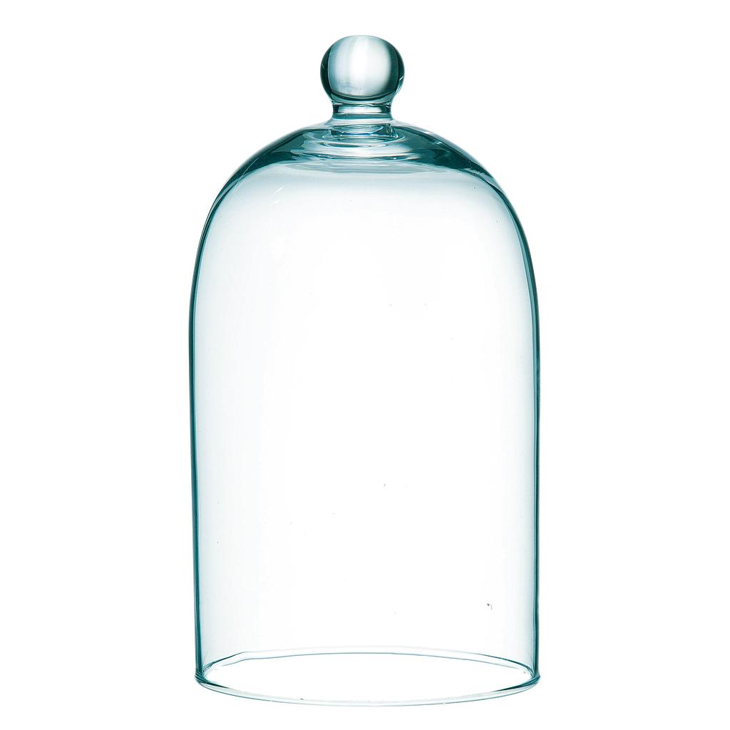 CLOCHE_VERRE TRANSPARENT_H20cm DIAM 11cm_1771