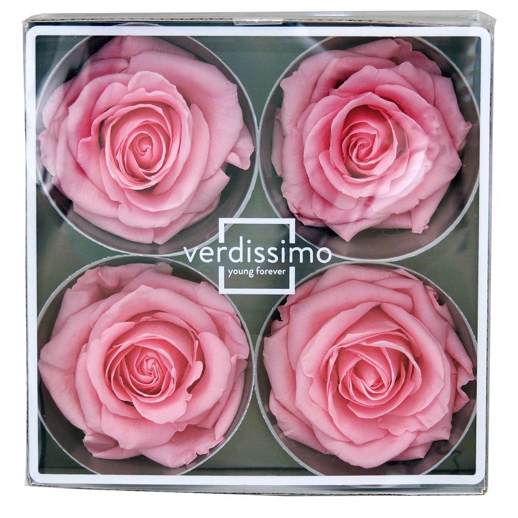 BOITE x4 TETES DE ROSE PREMIUM_VEGETAL STABILISE_GROS BOUTON_ROSE PASTEL_RSG 2420