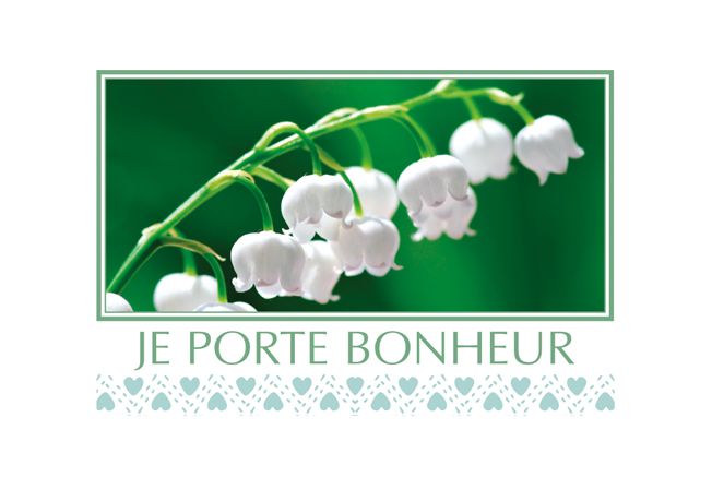 CARTE "JE PORTE BONHEUR" SACHETx15pcs_740