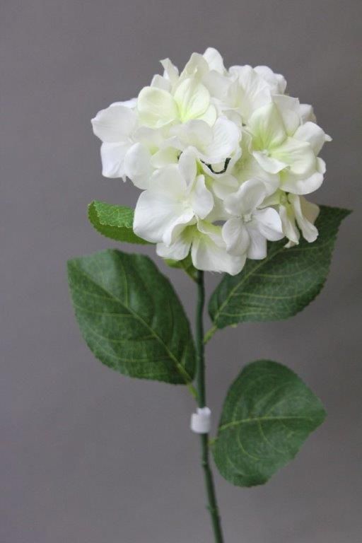 HORTENSIA_BLANC_392609_W