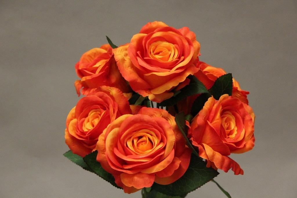 ROSE x7_ORANGE_YM016_O