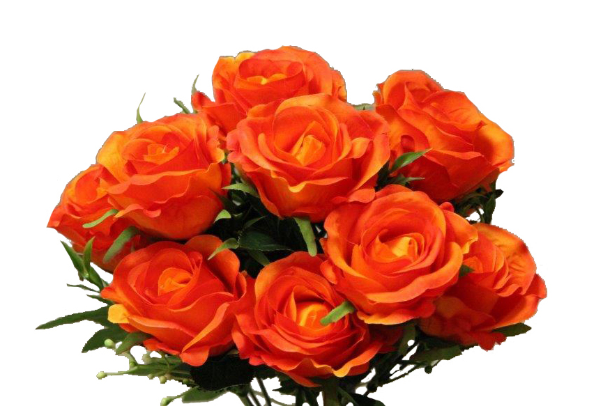 BOUQUET ROSE GYPSOPHILEx11_ORANGE_YM002_O