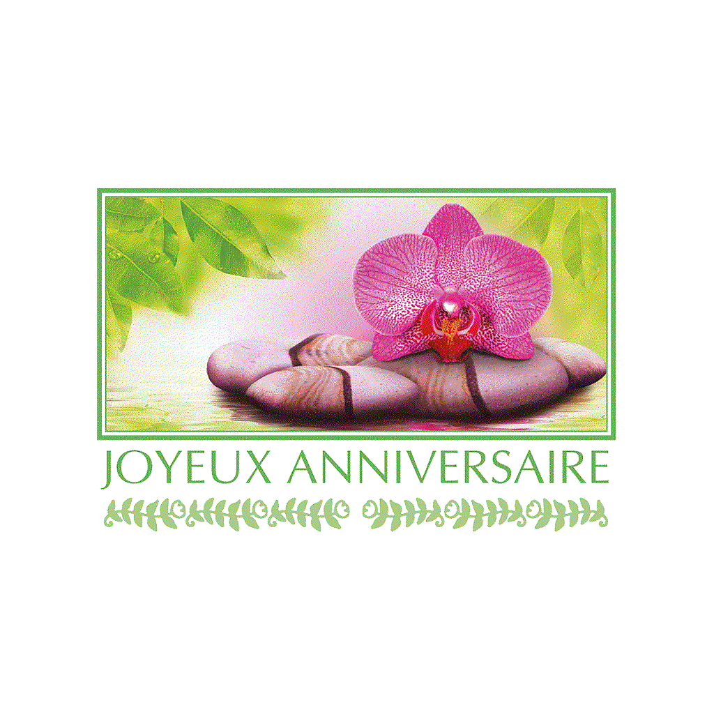 CARTE "JOYEUX ANNIVERSAIRE" SACHETx15pcs_516