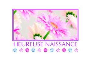 CARTE "HEUREUSE NAISSANCE" SACHETx15pcs_816