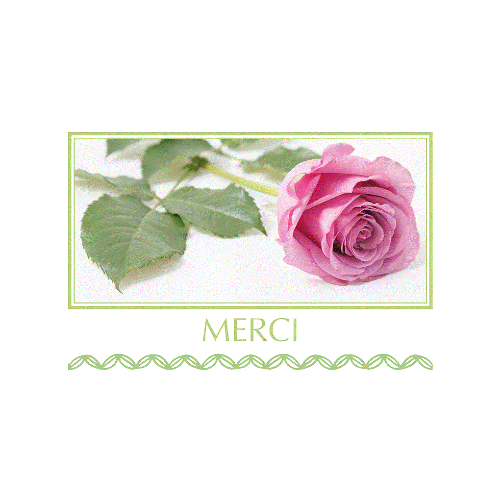 CARTE "MERCI" SACHETx15pcs_833