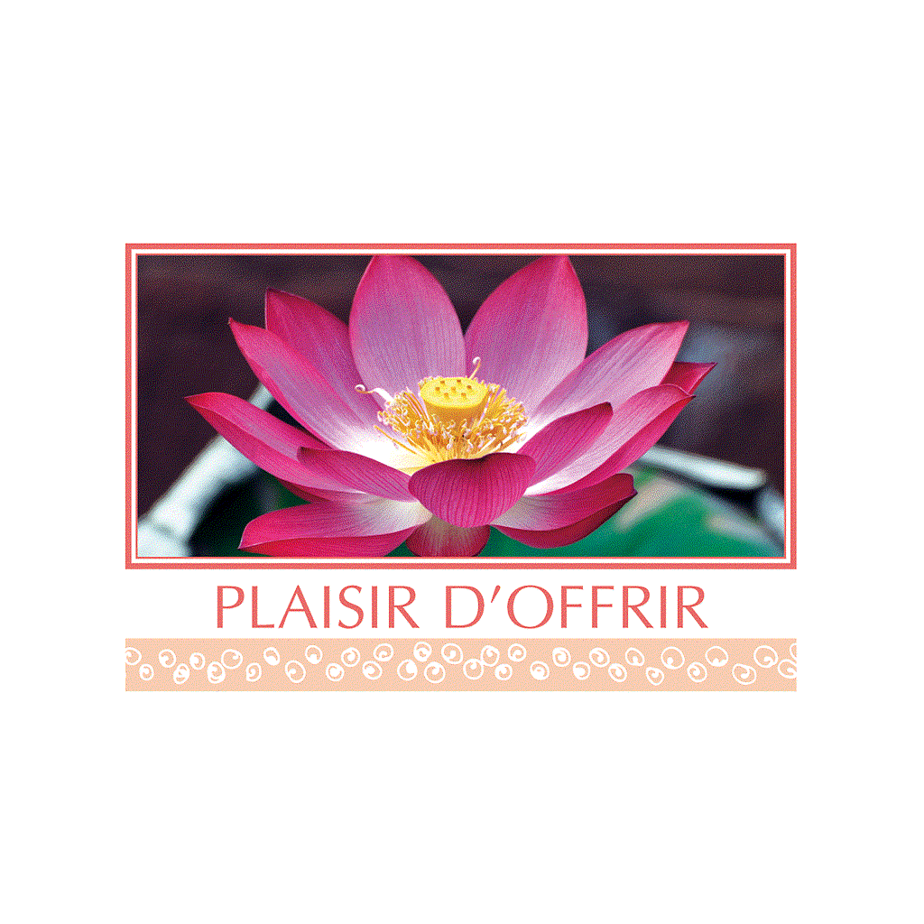 CARTE "PLAISIR D'OFFRIR" SACHETx15pcs_842