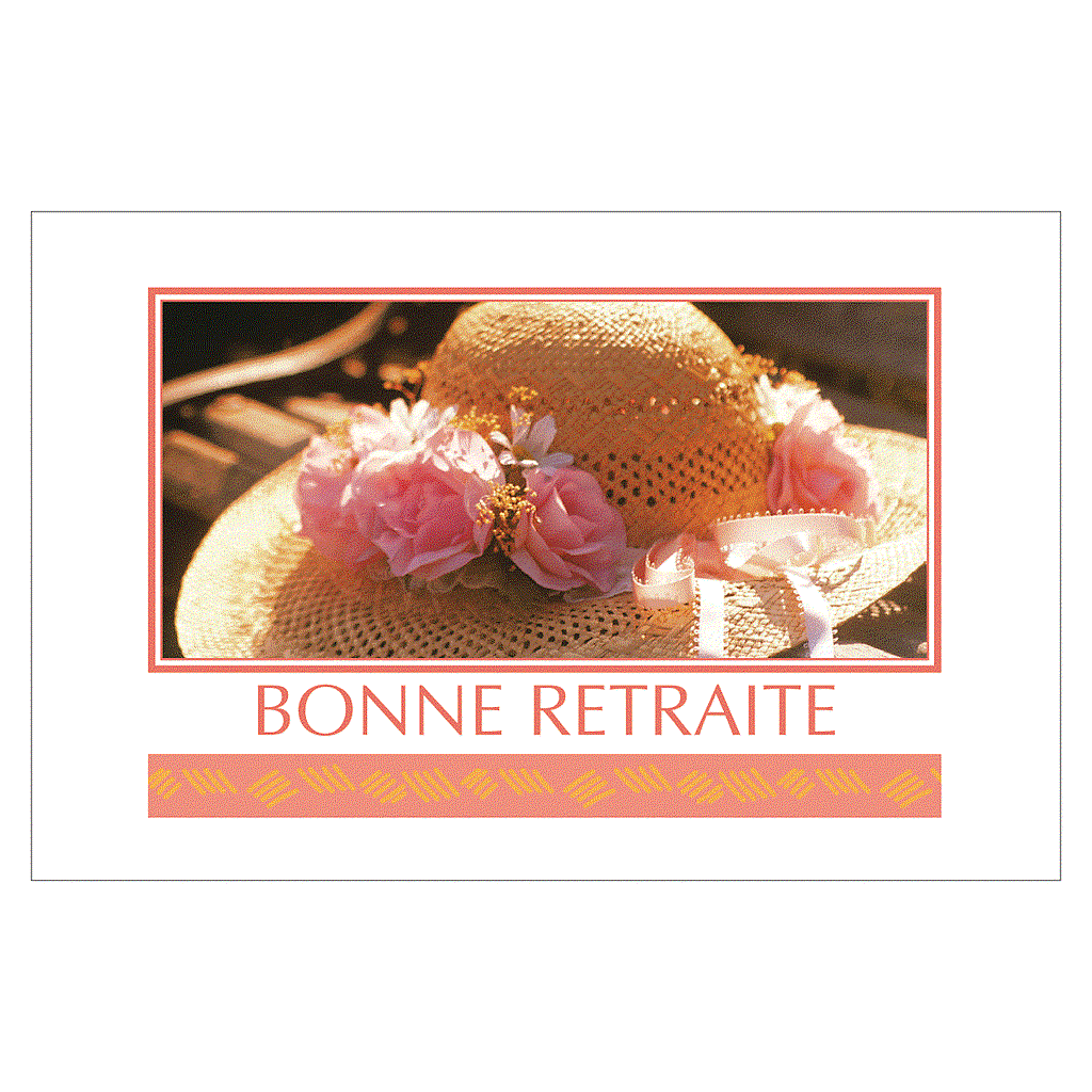 CARTE "BONNE RETRAITE" SACHETx15pcs_865