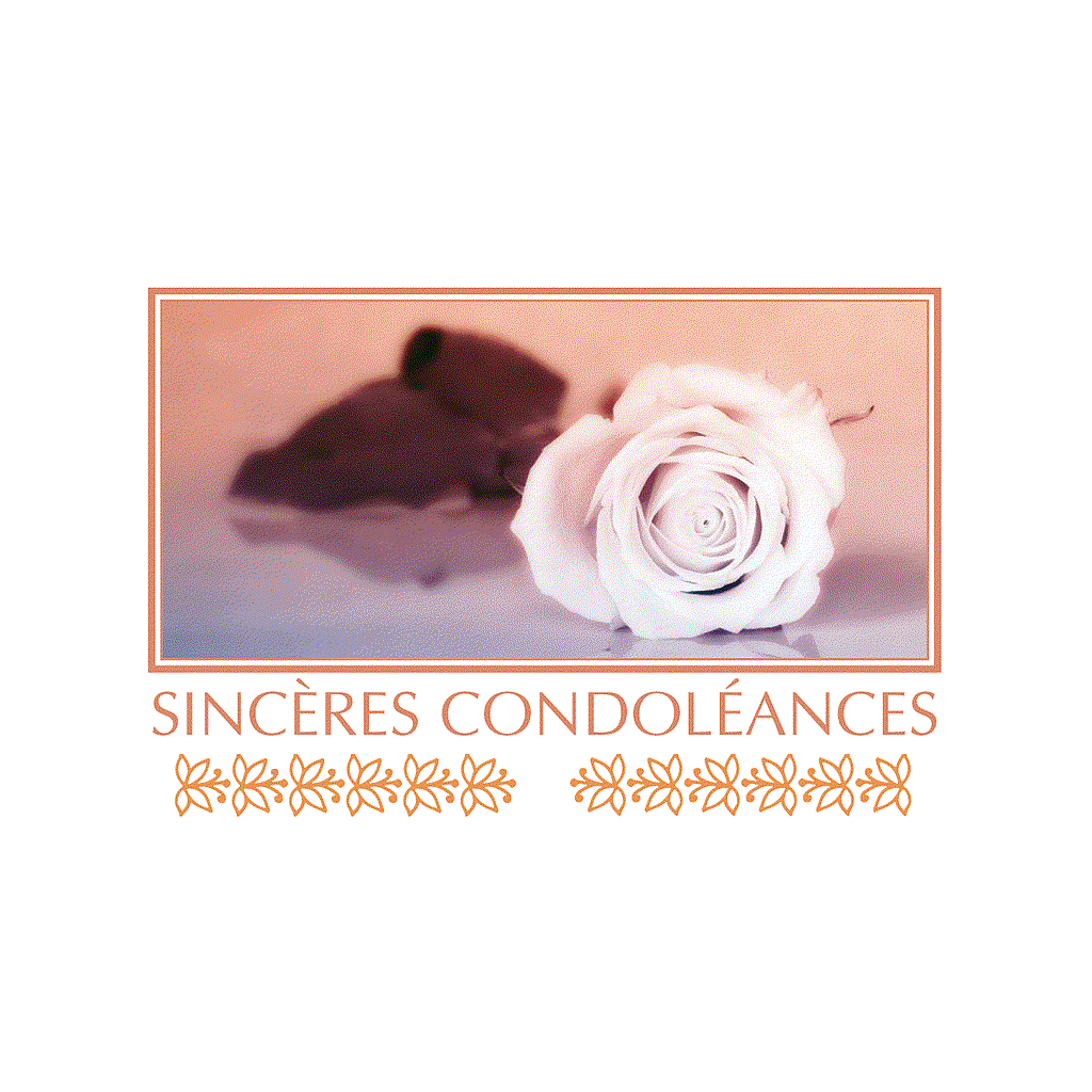 CARTE "SINCÈRES CONDOLÉANCES" SACHETx15pcs_890