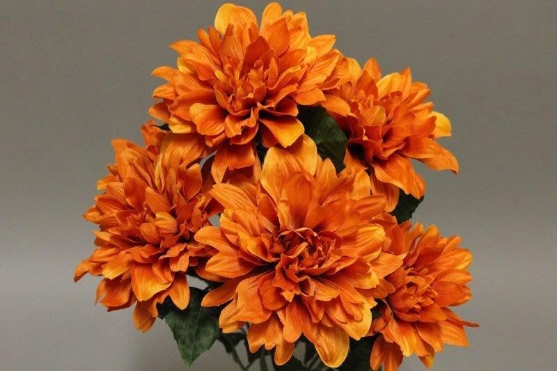 BOUQUET DAHLIAx7_ORANGE_F5259_O