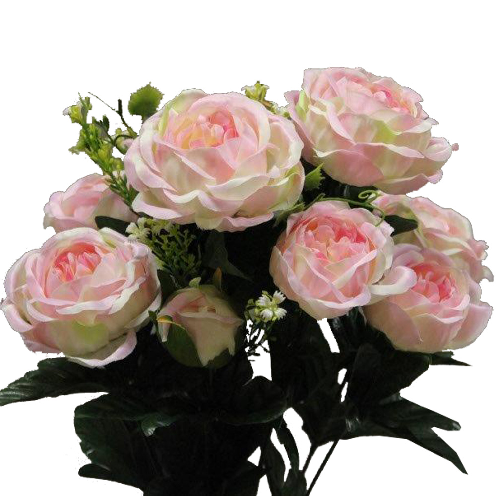BOUQUET ROSE CABBAGE_ROSE_1418095_PK