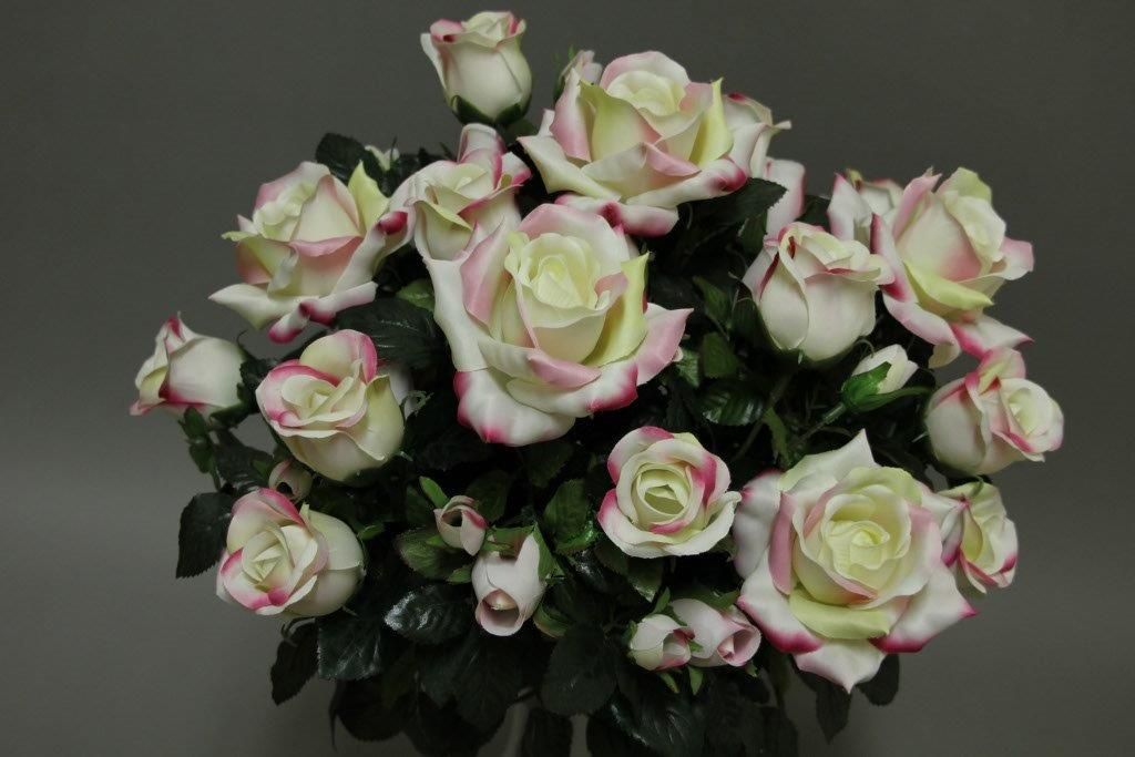 ROSIER_ROSE_114752_PK