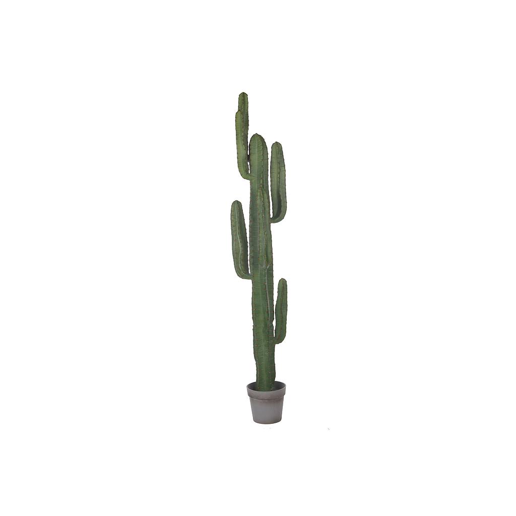 CACTUS ARTIFICIEL_160cm_24303-042